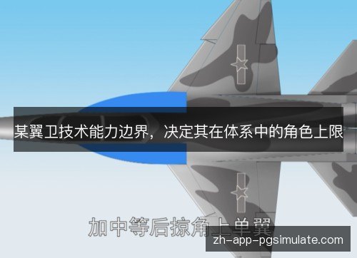 某翼卫技术能力边界,决定其在体系中的角色上限 某翼卫技术能力边界,决定其在体系中的角色上限